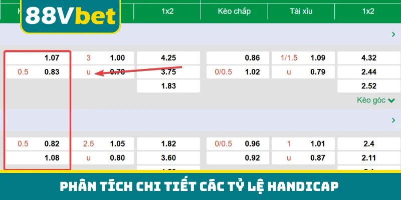 Phân tích chi tiết các tỷ lệ handicap